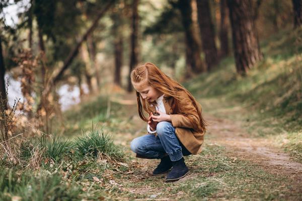 دختر بچه ناز جمع آوری مخروط در جنگل