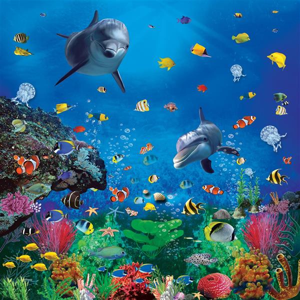 پوستر دلفین ها و ماهی های رنگارنگ با گیاهان دریایی در دنیای زیر آب