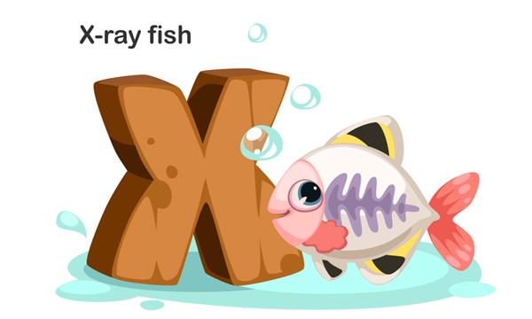 X برای ماهی اشعه ایکس
