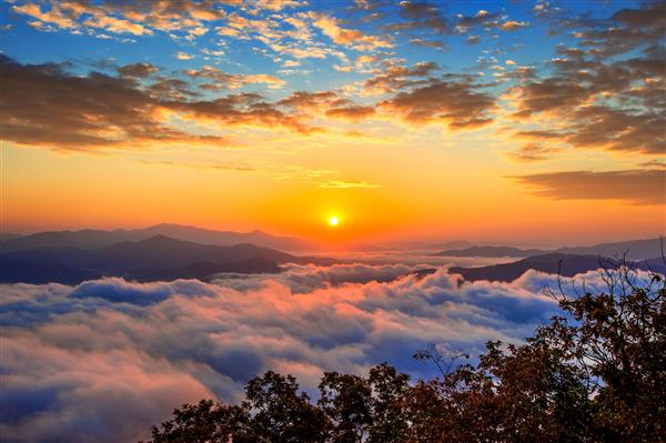 کوه های سئوراکسان توسط مه صبحگاهی و طلوع خورشید در سئول کره پوشیده شده است