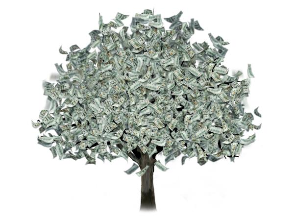 درخت پول با دلار به جای برگ در پس زمینه سفید