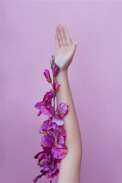 دستی با گل و گلبرگ صورتی که روی پس‌زمینه کاغذ خوابیده است لوازم آرایشی برای دست