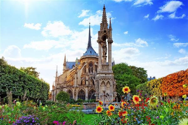 کلیسای جامع نوتردام پاریس باغی با گلپاریس فرانسه