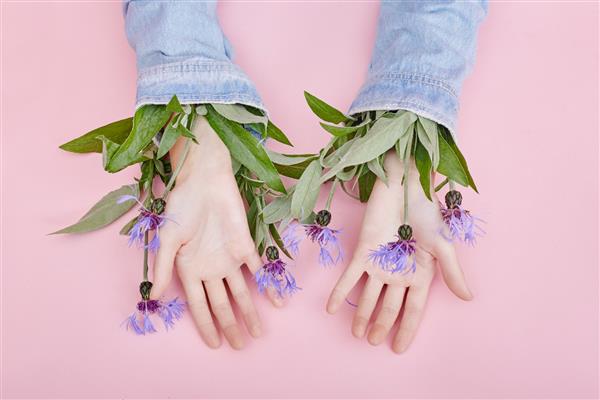 دست‌ها و گل‌های بهاری روی میز صورتی است لوازم آرایشی طبیعت برای مراقبت از پوست دست وسیله ای برای کاهش چین و چروک دست مرطوب کننده لوازم آرایشی طبیعی از عصاره گل زیبایی و مد