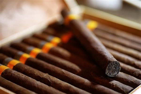جعبه چوبی بزرگ سیگار برگ تولیدی کوبایی دست ساز