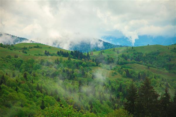 عکس افقی از منظره کوه با ابرهای شناور در میان درختان