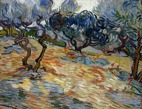 نقاشی درختان زیتون اثر ونسان ون گوگ