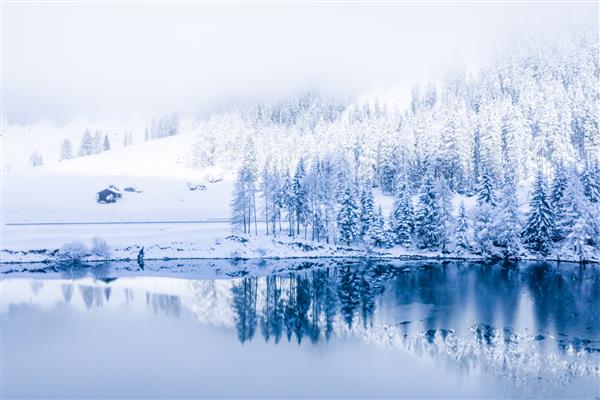 دریاچه زمستانی جادویی سوئیس در مرکز کوه های آلپ که توسط جنگل پوشیده از برف احاطه شده است