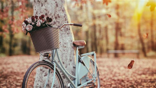 دوچرخه آبی کنار درخت در بهار در ساعات اولیه صبح