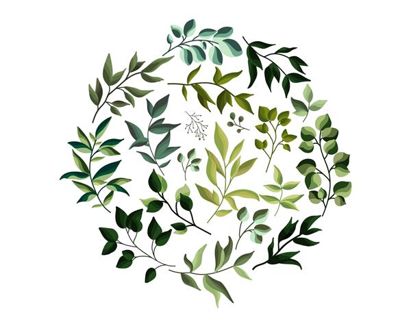 سبزی اکو شاخ و برگ گیاهان به سبک آبرنگ کارت دعوت عروسی با بنر برگ برای ذخیره تاریخ الگوی وکتور تزئینی زیبا گیاه شناسی
