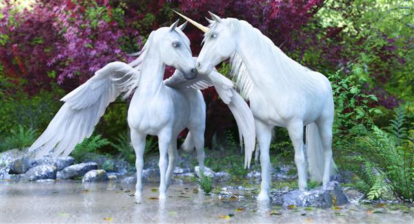 اسب شاخدار و پگاسوس سفید افسانه ای فانتزی در جنگلی مسحور شده رندر سه بعدی