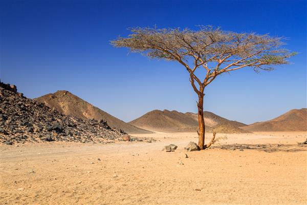 منظره ای از صحرای آفریقا در مصر