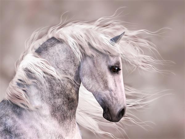 رندر دیجیتالی از مشخصات یک اسب خاکستری درهم عکس سر نزدیک رنگ های قهوه ای گرم تک رنگ