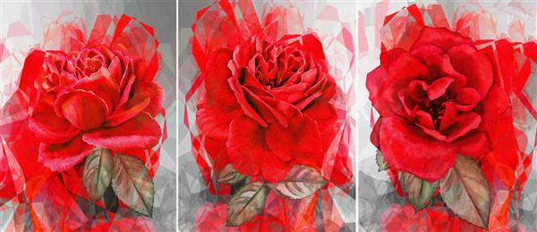 مجموعه نقاشی رنگ روغن دکوراسیون داخلی هنر انتزاعی مدرن روی بوم مجموعه نقاشی با گل رز قرمز هنر