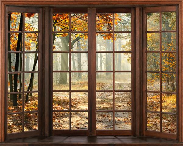 نمای پنجره سه بعدی منظره پاییزی