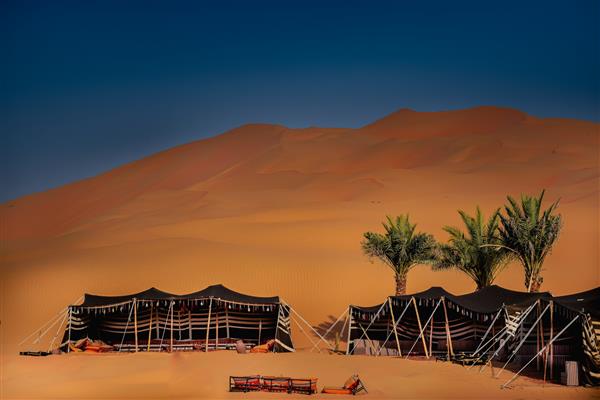 اردوگاه چادری بادیه نشینان در صحرای امارات ابوظبی