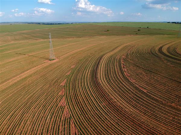 نمای هوایی از پهپاد گیاه کوچک بادام زمینی در مزرعه و برج فشار قوی در برزیل