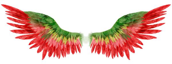 بالهای آبرنگ جادویی سبز قرمز زیبا