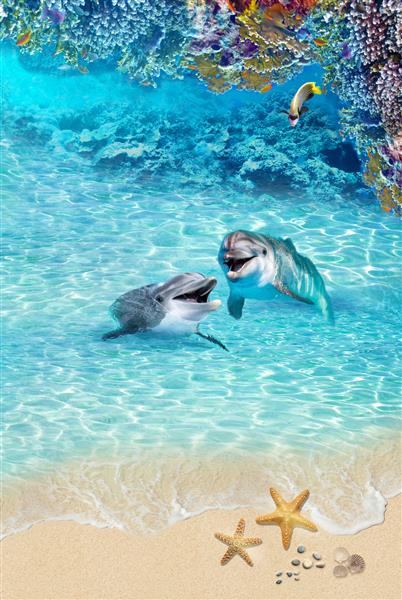 طراحی کاغذ دیواری سه بعدی پس زمینه تابستان دریا نمای بالا تصویر با دلفین و مرجان