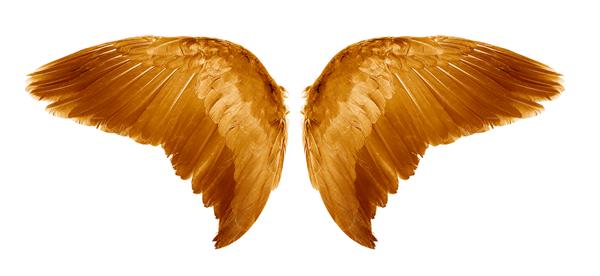 بال های فرشته قهوه ای ایزوله شده روی پس زمینه سفید