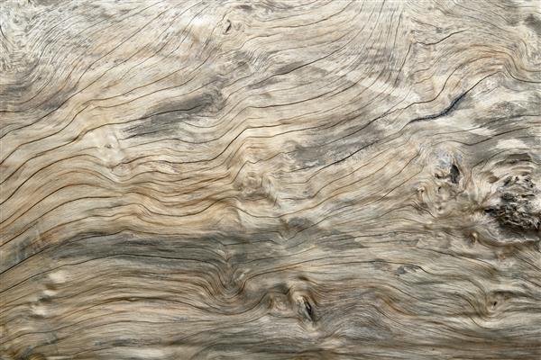 سطح پس زمینه بافت دانه چوب قدیمی با الگوی طبیعی