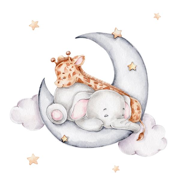 زرافه و فیل ناز در خواب روی ماه؛ تصویر کشیده شده با آبرنگ با زمینه سفید جدا شده