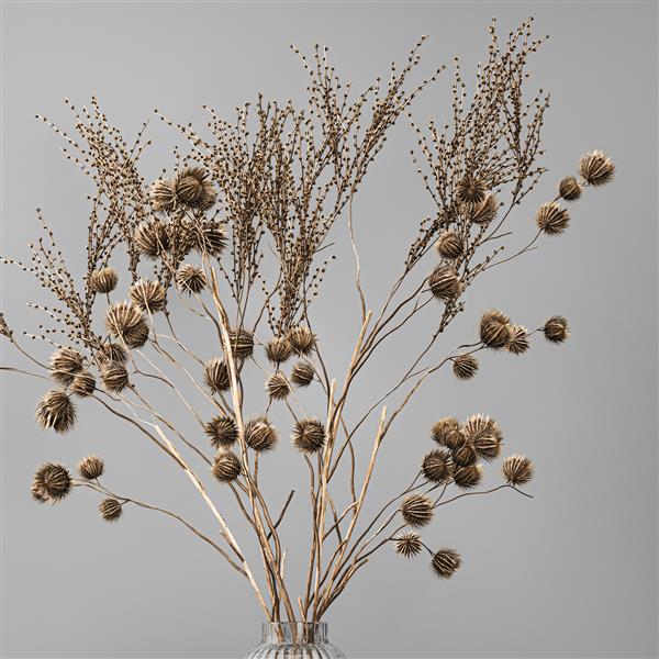 دسته گل تزئینی با تصویر سه بعدی از شاخه های خار خشک شده در گلدان با آرکتیوم در زمینه سفید