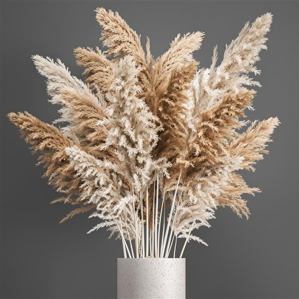 دسته گل تزئینی با تصویر سه بعدی از گل های خشک در گلدان با پامپاهای سفید در پس زمینه سفید