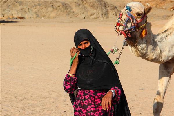 هورغاده مصر 24 آوریل 2015 پیرزن شتردار از روستای بادیه نشین در صحرای صحرا با شتر خود مصر حورغاده در 24 آوریل 2015