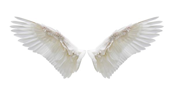 بال های فرشته پرهای بال سفید داخلی با قسمت بریده