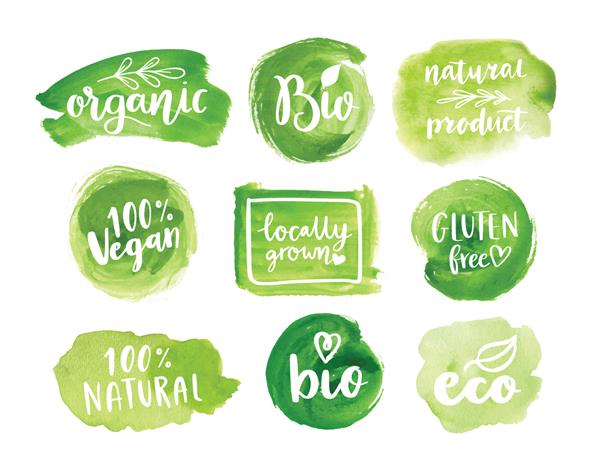 برچسب های زیست محیطی مواد غذایی ارگانیک وکتور پس زمینه آبرنگ انتزاعی سبز رنگ مواد غذایی طبیعی ارگانیک زیستی عناصر طراحی اکو