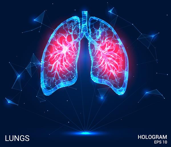 هولوگرام ریه درد در ریه ها از چند ضلعی مثلث نقطه و خطوط ریه یک ساختار کم پلی مرکب است مفهوم فناوری