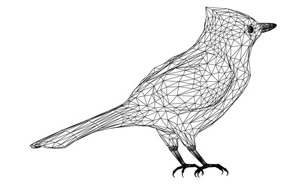 تصویر خطوط چند ضلعی پرنده جی پرنده وکتور انتزاعی در پس زمینه سفید