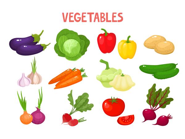 وکتور روشن از سبزیجات رنگارنگ سبزیجات ارگانیک کارتونی تازه جدا شده در پس زمینه سفید که برای مجله کتاب پوستر کارت جلد منو صفحات وب استفاده می شود