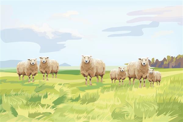 گروه گوسفند در نمای علفزار