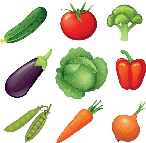 سبزیجات تازه نماد سبزیجات غذای گیاهی خیار گوجه فرنگی کلم بروکلی بادمجان کلم فلفل نخود فرنگی هویج پیاز