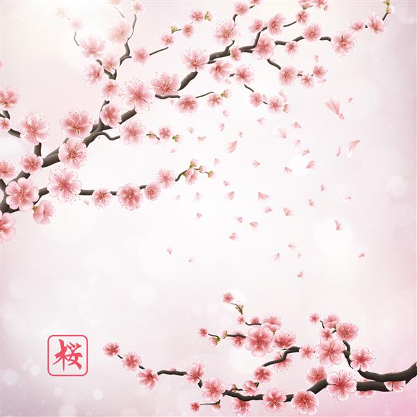 شاخه گیلاس ژاپنی واقع گرایانه با گل های شکوفه هیروگلیف ساکورا فایل وکتور EPS 10 گنجانده شده است
