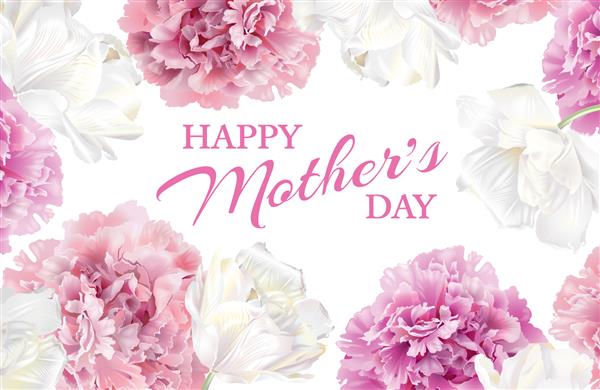 کارت پستال تبریک روز مادر با گل صد تومانی صورتی شکوفه و گل لاله سفید در زمینه سفید بنر افقی گل بهاری قابل استفاده به عنوان پس زمینه بهار