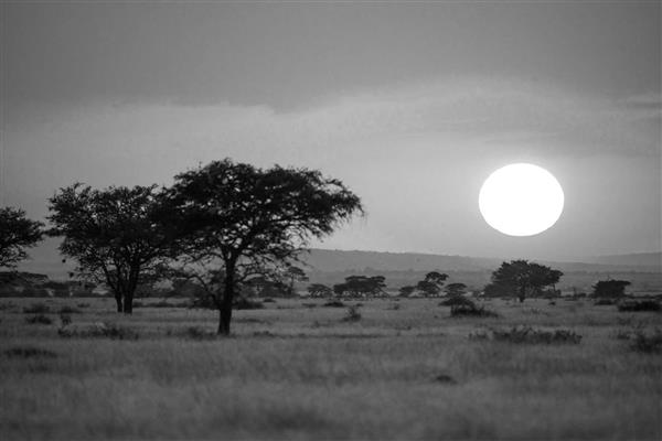 عکس سیاه و سفید خورشید و بیابان آفریقا