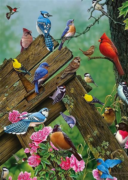 اجتماع پرندگان رنگارنگ در طبیعت