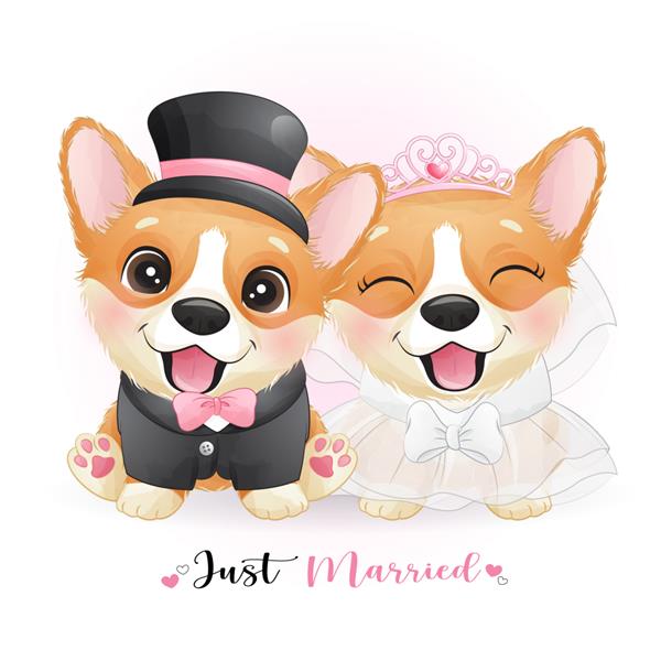 سگ های ابله زیبا با لباس عروسی تازه ازدواج کرده اند