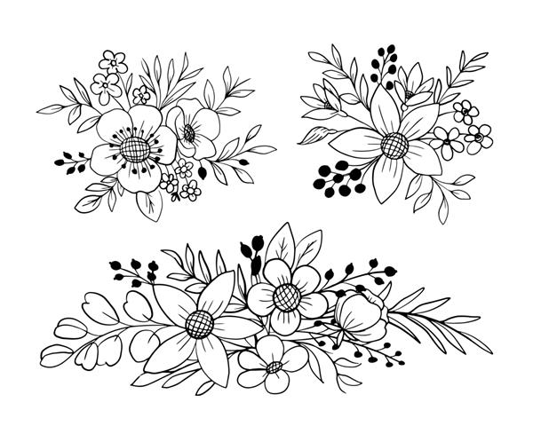 مجموعه ای از گل آرایی گل و برگ مجموعه هنری خط