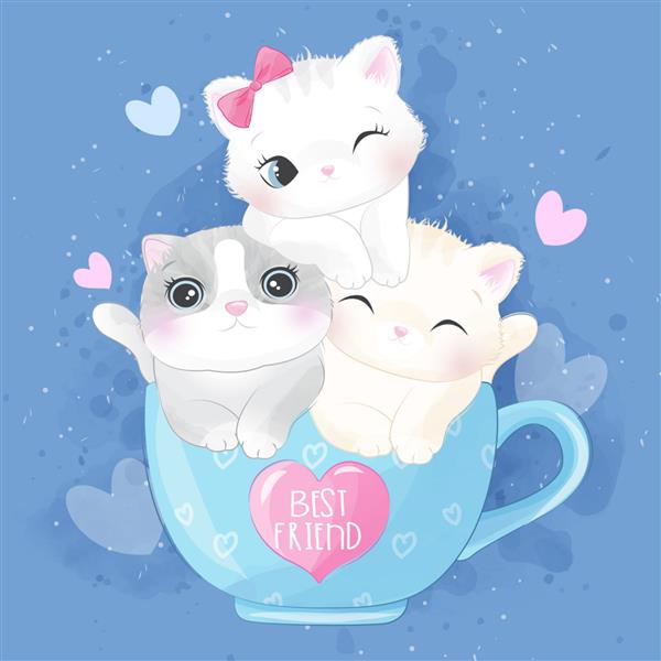 تصویر بچه گربه ناز درون فنجان