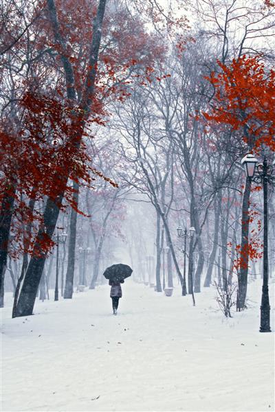 دختری با چتر که در مسیر راه می رود زمستان درختان با برگ های قرمز