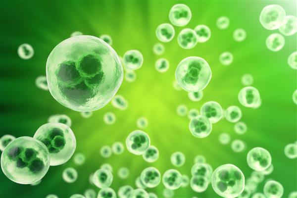 سلول های انسانی یا حیوان در زمینه سبز زندگی و زیست شناسی مفهوم علمی پزشکی با اثر تمرکز رندر سه بعدی