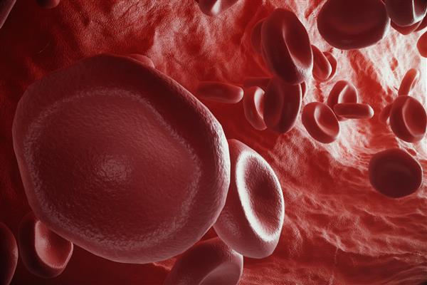 گلبول های قرمز در شریان جریان در داخل بدن مفهوم مراقبت از سلامت انسان پزشکی رندر سه بعدی