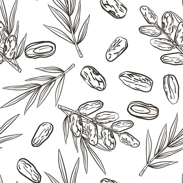 الگوی بدون درز با شاخه میوه خرما میوه خرما و برگ خرما تصویر وکتور به سبک ترسیم شده با دست نقاشی خط دار جدا شده روی سفید الگو به صورت نمونه