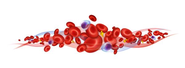 گلبول های خون لکوسیت ها گلبول های قرمز و پلاکت ها ترکیب وکتور