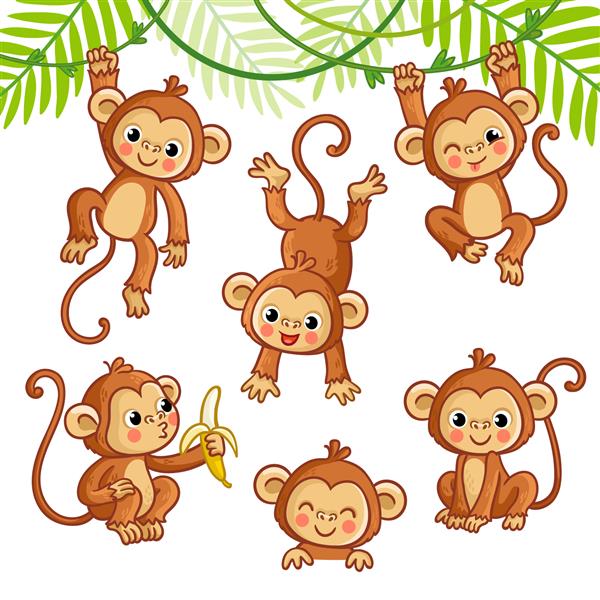 مجموعه وکتور با میمون در حالت های مختلف وکتور مجموعه حیوانات به سبک کارتونی