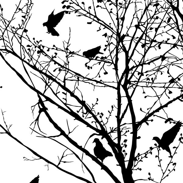 تصویر پس زمینه با سایه های کبوتر در درختان وکتور